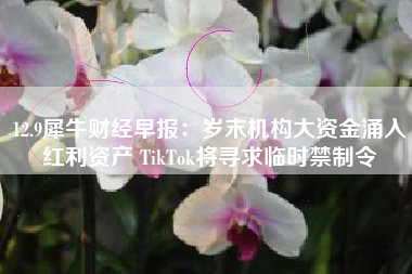 12.9犀牛财经早报：岁末机构大资金涌入红利资产 TikTok将寻求临时禁制令