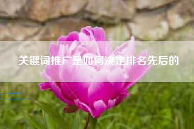 关键词推广是如何决定排名先后的