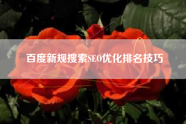 百度新规搜索SEO优化排名技巧