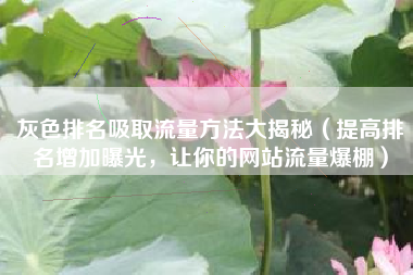 灰色排名吸取流量方法大揭秘（提高排名增加曝光，让你的网站流量爆棚）