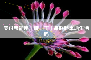 支付宝能用「碰一下」串联起本地生活吗