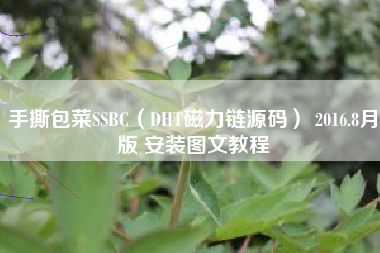 手撕包菜SSBC（DHT磁力链源码） 2016.8月版 安装图文教程