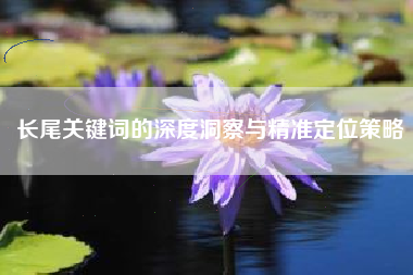 长尾关键词的深度洞察与精准定位策略
