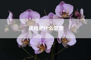 裙楼是什么意思