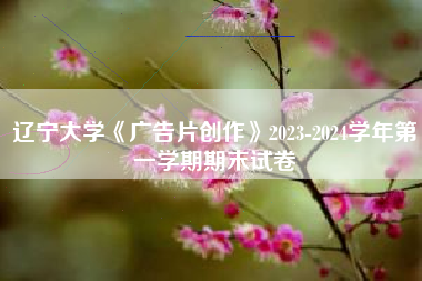 辽宁大学《广告片创作》2023-2024学年第一学期期末试卷