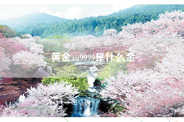 黄金au9999是什么金