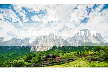 内网服务器通过CCproxy代理上网