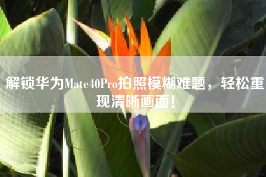 解锁华为Mate40Pro拍照模糊难题，轻松重现清晰画面！