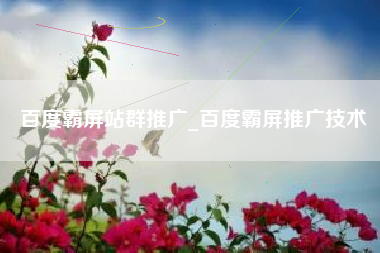 百度霸屏站群推广_百度霸屏推广技术