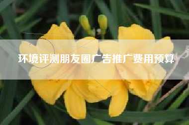 环境评测朋友圈广告推广费用预算 环境评测朋友圈广告推广费用预算