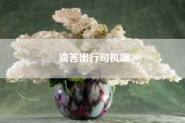 滴答出行司机端 滴答出行司机端