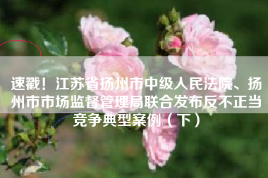 速戳！江苏省扬州市中级人民法院、扬州市市场监督管理局联合发布反不正当竞争典型案例（下）