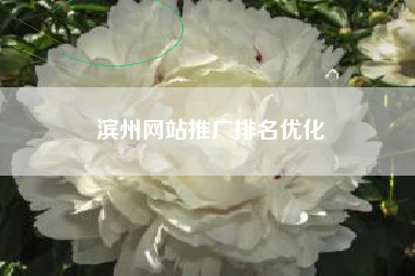 滨州网站推广排名优化