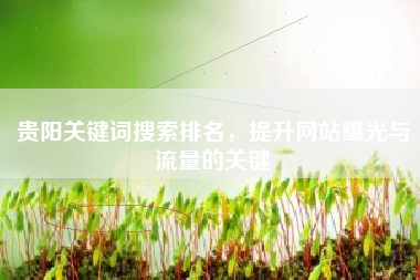 贵阳关键词搜索排名，提升网站曝光与流量的关键