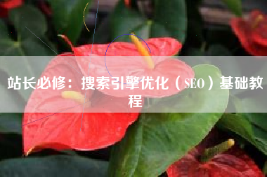 站长必修：搜索引擎优化（SEO）基础教程