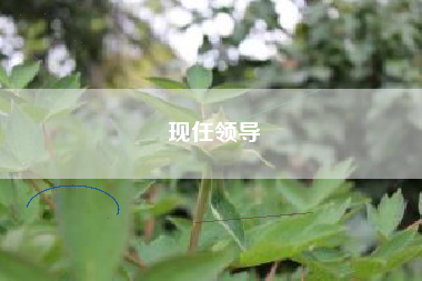 现任领导