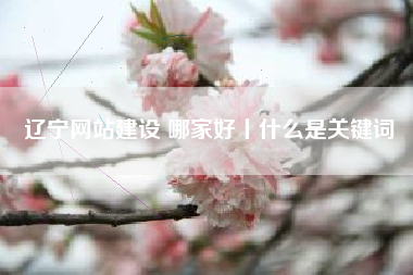 辽宁网站建设 哪家好丨什么是关键词