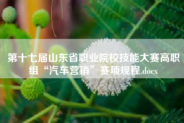 第十七届山东省职业院校技能大赛高职组“汽车营销”赛项规程.docx