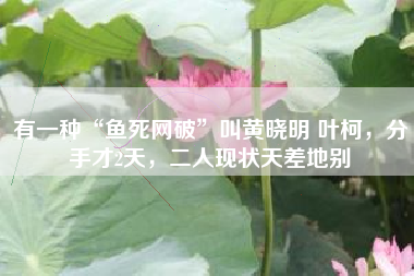 有一种“鱼死网破”叫黄晓明 叶柯，分手才2天，二人现状天差地别