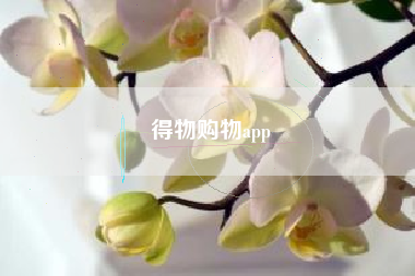 得物购物app