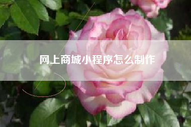网上商城小程序怎么制作