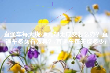 直通车每天烧200元却无成交怎么办？直通车多久有效果？(直通车每天烧多少)