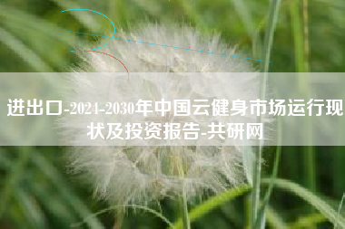 进出口-2024-2030年中国云健身市场运行现状及投资报告-共研网