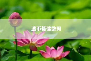 速币基础数据