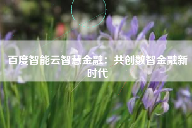 百度智能云智慧金融：共创数智金融新时代