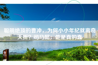 聪明绝顶的曹冲，为何小小年纪就离奇夭折？司马懿：他是真的蠢