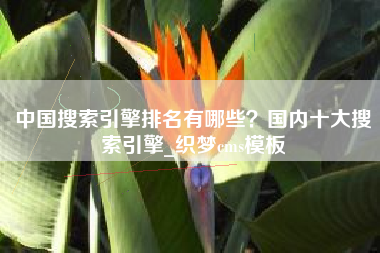中国搜索引擎排名有哪些？国内十大搜索引擎_织梦cms模板