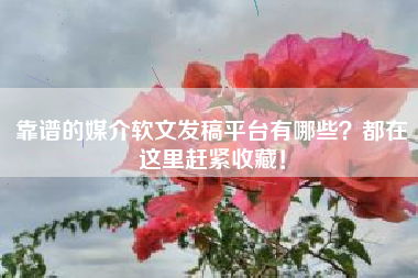 靠谱的媒介软文发稿平台有哪些？都在这里赶紧收藏！