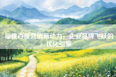 福建百度营销新动力，企业品牌飞跃的优化引擎