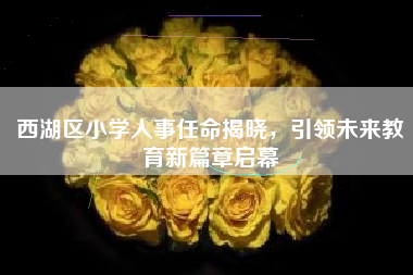 西湖区小学人事任命揭晓，引领未来教育新篇章启幕