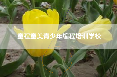 童程童美青少年编程培训学校
