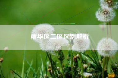 精华区二区区别解析