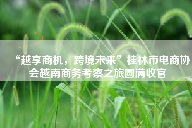 “越享商机，跨境未来”桂林市电商协会越南商务考察之旅圆满收官
