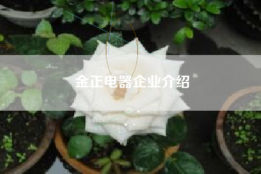 金正电器企业介绍