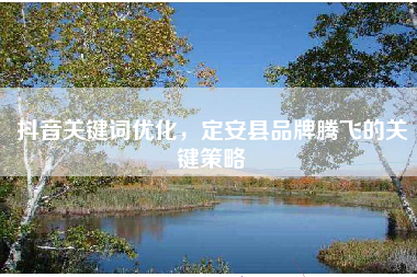 抖音关键词优化，定安县品牌腾飞的关键策略