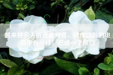 越来越多人挤进视频号，就像以前的电商平台一样，已成一个风口