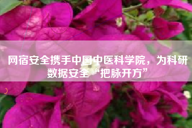 网宿安全携手中国中医科学院，为科研数据安全“把脉开方”
