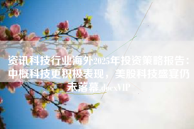资讯科技行业海外2025年投资策略报告：中概科技更积极表现，美股科技盛宴仍未落幕.docxVIP