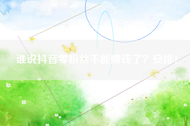 谁说抖音零粉丝不能赚钱了?安排! 谁说抖音零粉丝不能赚钱了?安排!