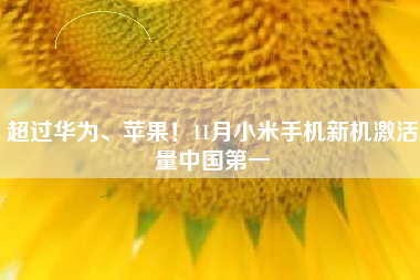 超过华为、苹果！11月小米手机新机激活量中国第一