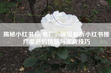 揭秘小红书App推广，深度解析小红书推广渠道的精髓与实战技巧