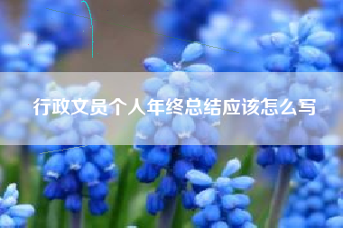 行政文员个人年终总结应该怎么写