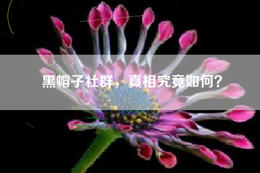 黑帽子社群，真相究竟如何？