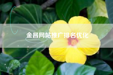金昌网站推广排名优化