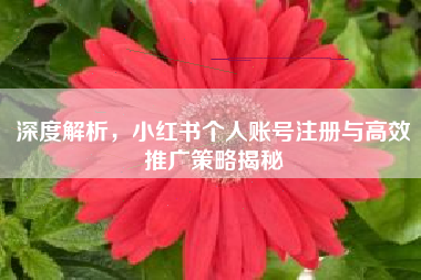 深度解析，小红书个人账号注册与高效推广策略揭秘