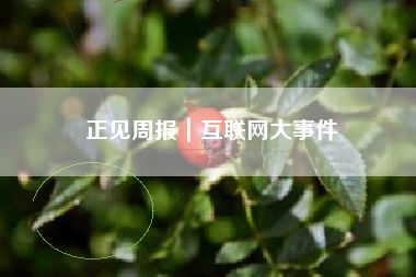 正见周报｜互联网大事件